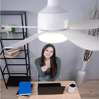 Breeze Ease 2-In-1 Fan And Light With Rc.