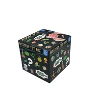 Mystery Fidget Toy Kit (25 pc) Up To $100 In Value!