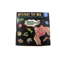 Mystery Fidget Toy Kit (25 pc) Up To $100 In Value!