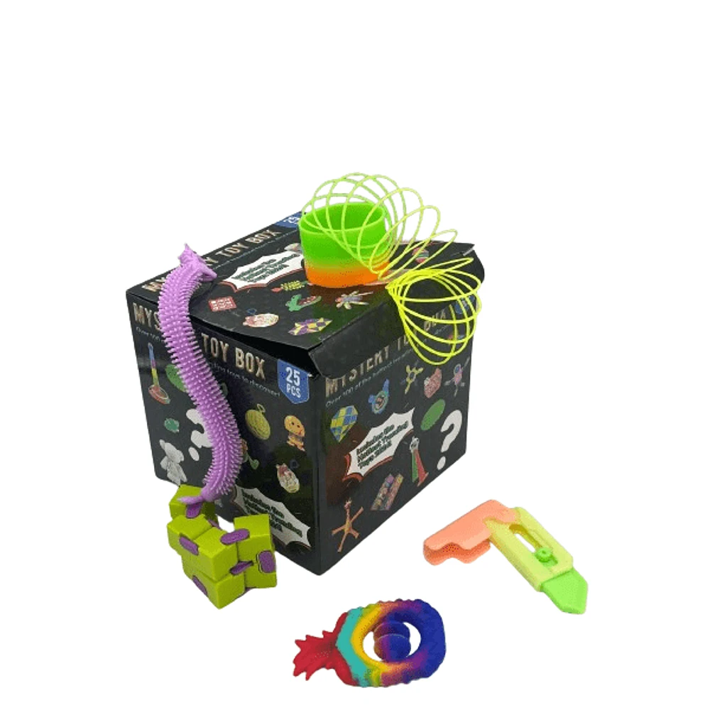 Mystery Fidget Toy Kit (25 pc) Up To $100 In Value!