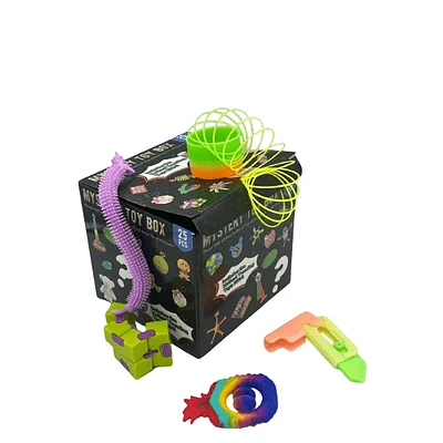 Mystery Fidget Toy Kit (25 pc) Up To $100 In Value!
