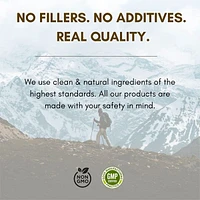 Pure Himalayan Shilajit (25g)