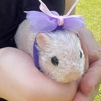 True Heart Treasures Reborn Animals: Holly The Hamster Realistic Mini Silicone Newborn Hamster Baby