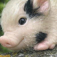 True Heart Treasures Reborn Animals: Patches The Spotted Piglet Realistic Mini Silicone Newborn Baby Pig