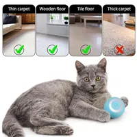 WhirlCatty: The Magic Ball Cat Toy | As Seen On TikTok!