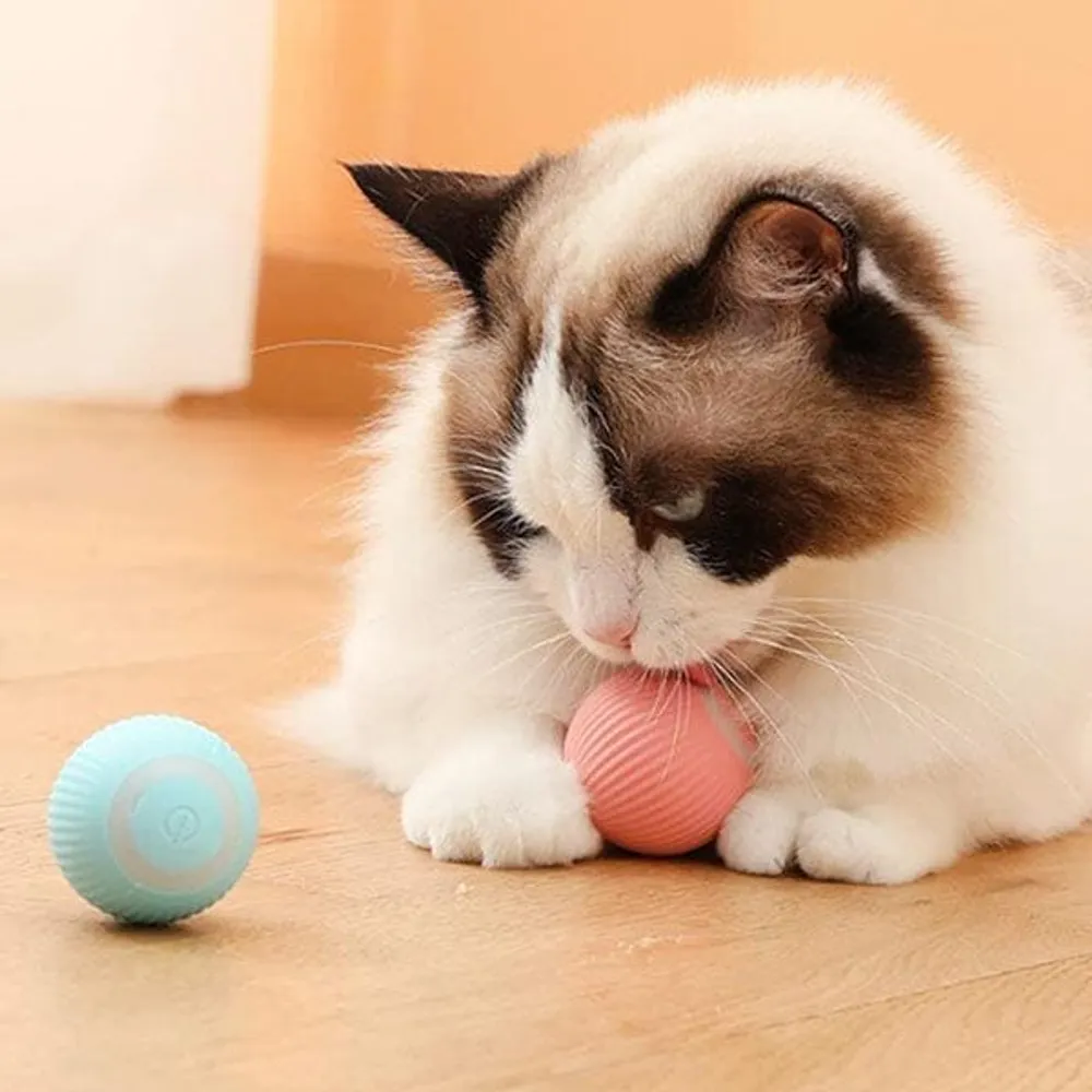 WhirlCatty: The Magic Ball Cat Toy | As Seen On TikTok!