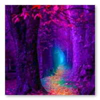 Studio Diamond Painting Full Coverage | Forest Path | 40cm x 40cm