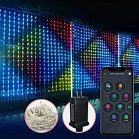 Pulsationz Bluetooth Programmable LED Curtain Lights (6.4ft)