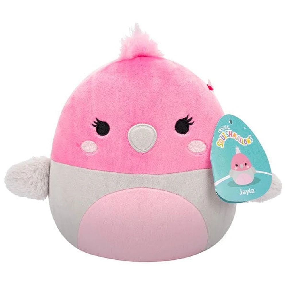 Squishmallows Super Soft Plush Toys 7.5" Jayla The Galah Bird