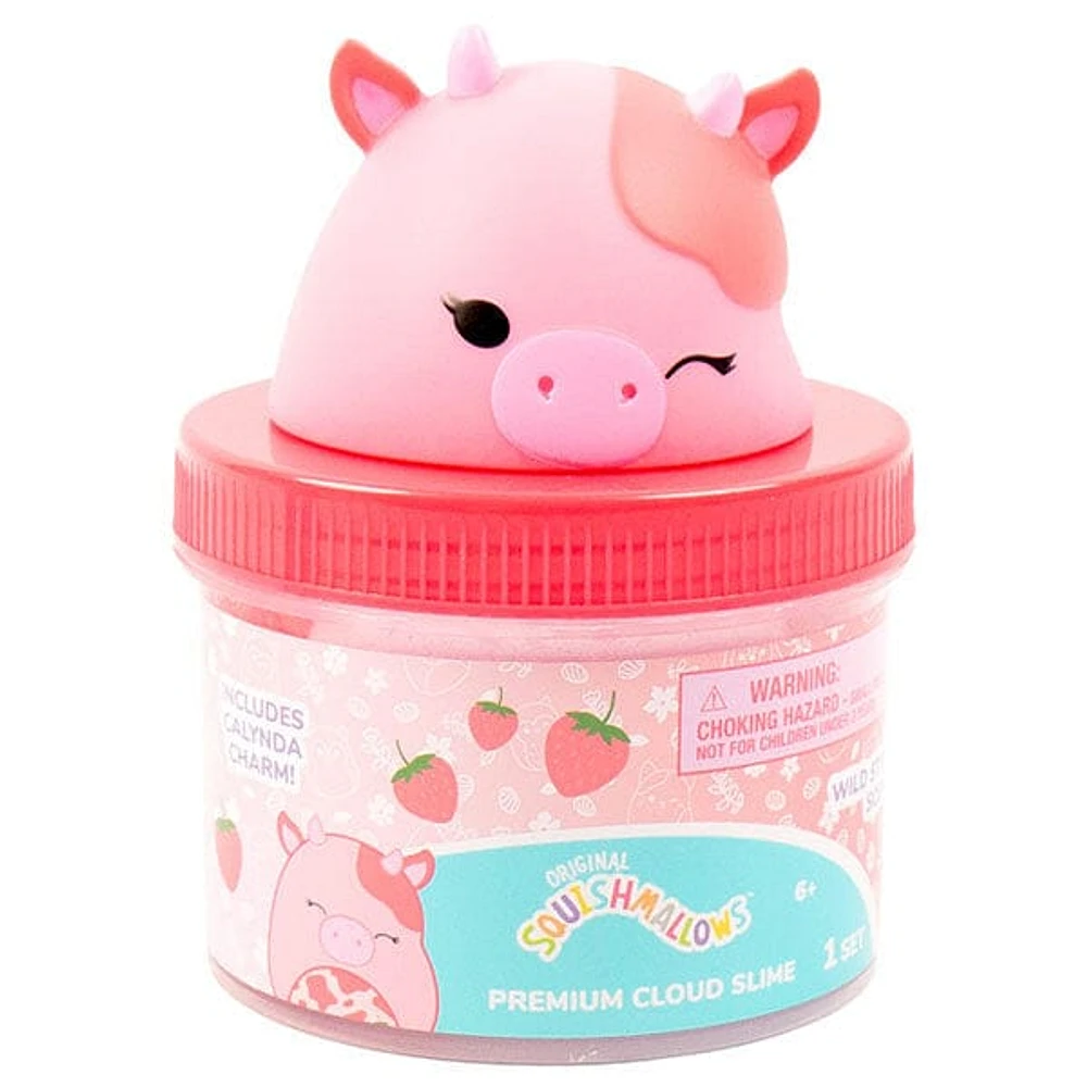 Squishmallows Premium Cloud Slime Fidget Putty Jar Multiple Scents & Styles (Wave 2)