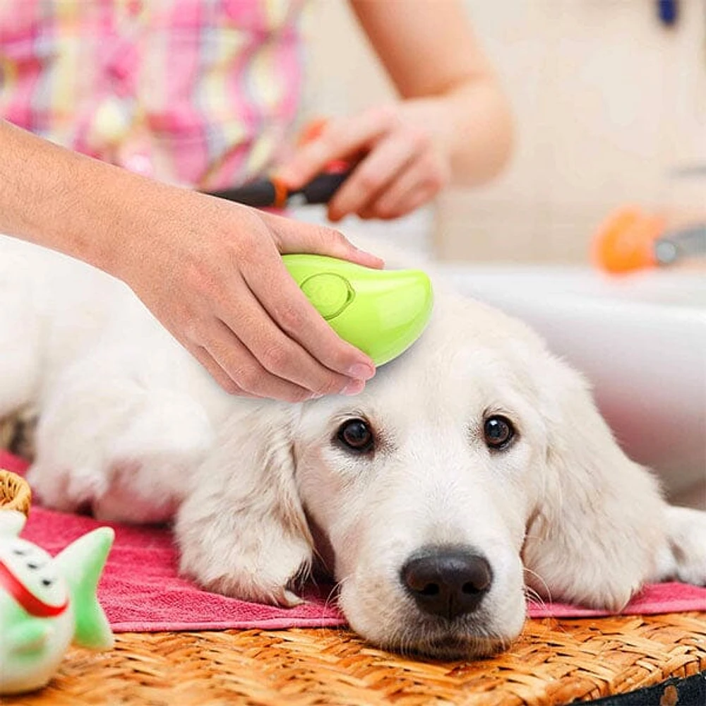 SteamyTails: Silicone Steam Grooming Brush For Cats & Dogs