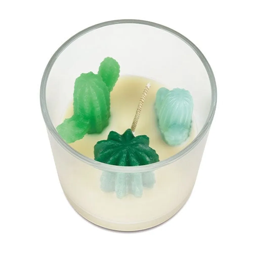 Hidden Gems Succulent Cactus Novelty Candle (1 Ring Inside)