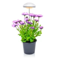 Grow-Pho: USB Powered LED Grow-Light for House Plants