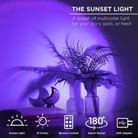 TikTastic Sunset LED Lamp w/ Remote | As Seen on Social!