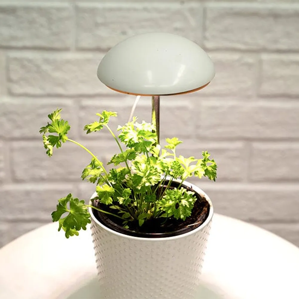 Grow-Pho: USB Powered LED Grow-Light for House Plants