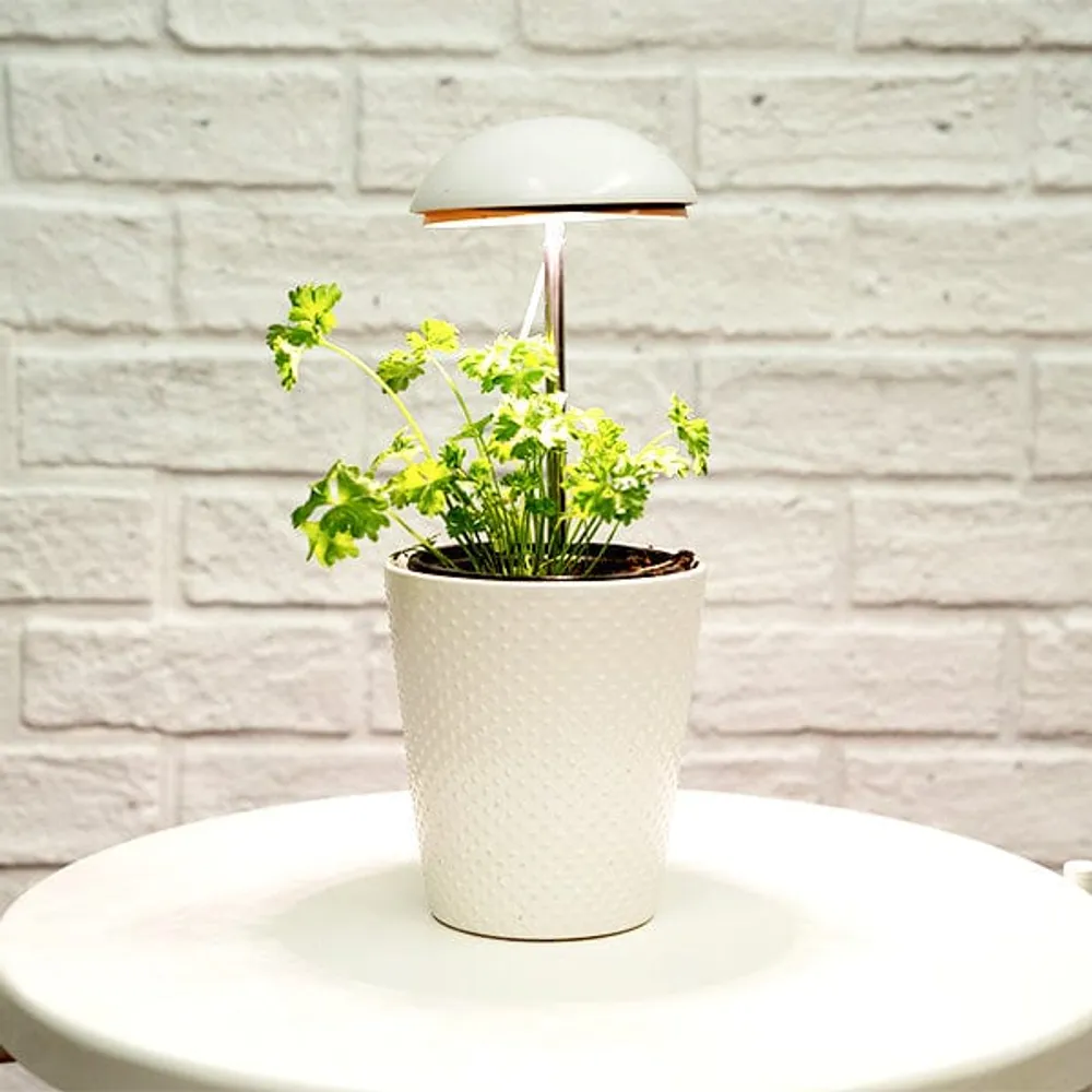 Grow-Pho: USB Powered LED Grow-Light for House Plants