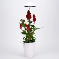 Grow-Pho: USB Powered LED Grow-Light for House Plants