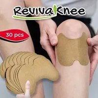 Reviva Knee Herbal Detox Pain Relief Patches (30pc)