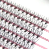 WOW Lash Clusterz Kit | 288 Eyelash Clusters | Includes Glue & Tweezers!