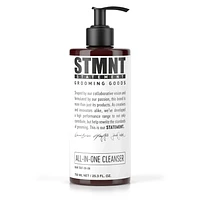 All-In-One Cleanser