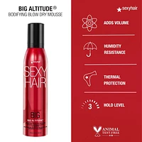 Big Altitude Bodifying Blow Dry Mousse