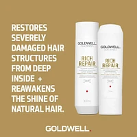 Dualsenses Rich Repair Get Ready To Revitalize Trio