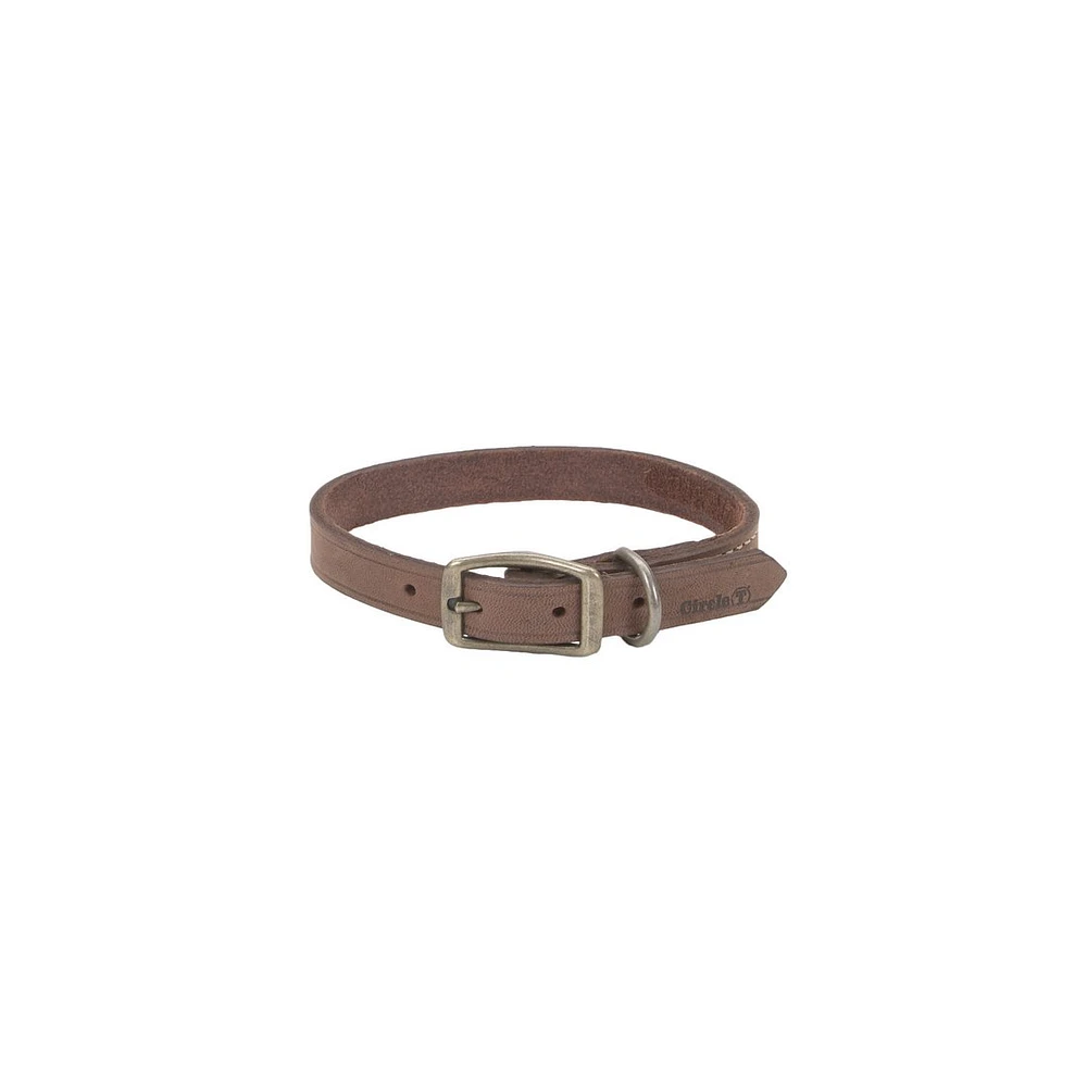 Coastal - Leather Dog Collar