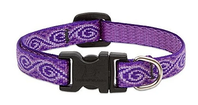 Dog Collar