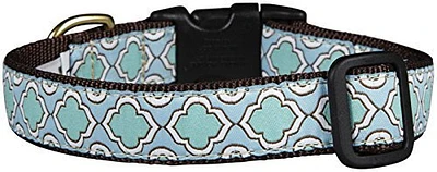 Up Country - Snap Collar - Seaglass