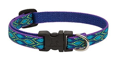 Dog Collar