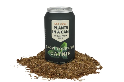 Plants in a Can - Cat Plants - Catnip Kit