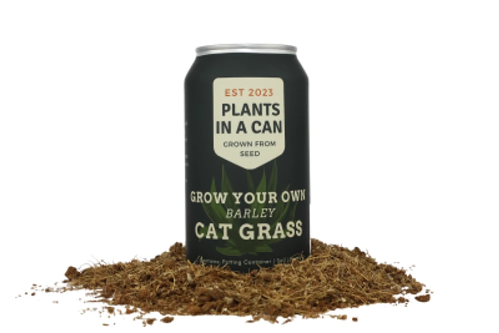 Plants in a Can - Cat Plants - Catgrass Kit