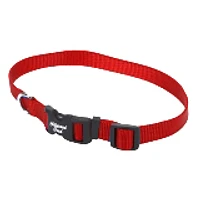 Nylon Dog Collar