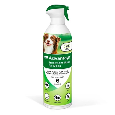 - Flea & Tick Spray for Dogs