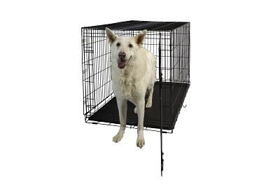 Dog Crate - Single Door