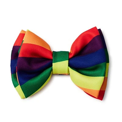 Hotel Doggy - Pet Bow Tie - Rainbow