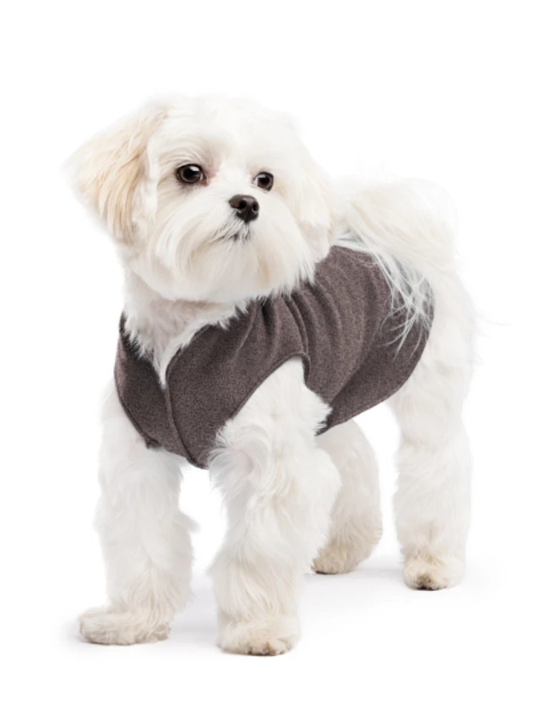 Gold Paw - Dog Sweater - Grey Fleece