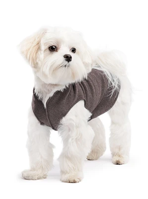 Gold Paw - Dog Sweater - Grey Fleece