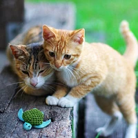KONG - Cat Toy - Refillables Turtle with Catnip