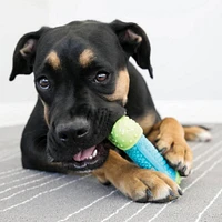 KONG - Dog Toy - Corestrength Bone