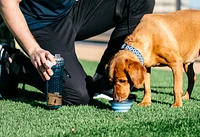 Dexas - Bowl & Bottle - Blue Snack Duo