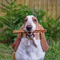 - Dog Treat - Braided Esophagus Stick