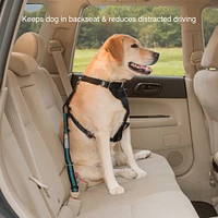 Kurgo - Direct Seatbelt Tether - Blue & Black