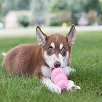 KONG - Dog Toy - Puppy Kong