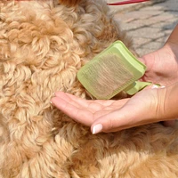 Coastal - Dog Brush - Self Cleaning Slicker