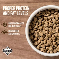 Diamond - Cat Food - Maintenance
