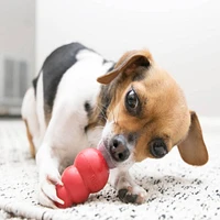 Dog Toy