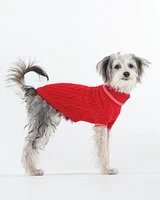 Dog Sweater