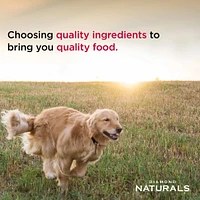 Diamond - Dog Food - Naturals - Lamb & Rice