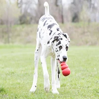 Dog Toy